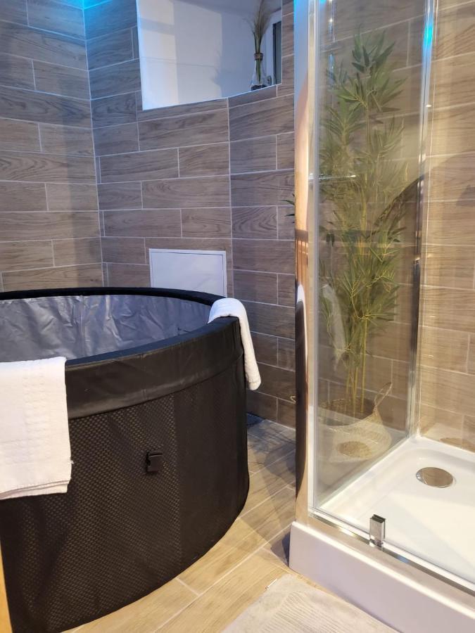 Le Spa De La Cathedrale - Jacuzzi - Sauna - Champagne - Netflix - Wifi Troyes Exterior foto