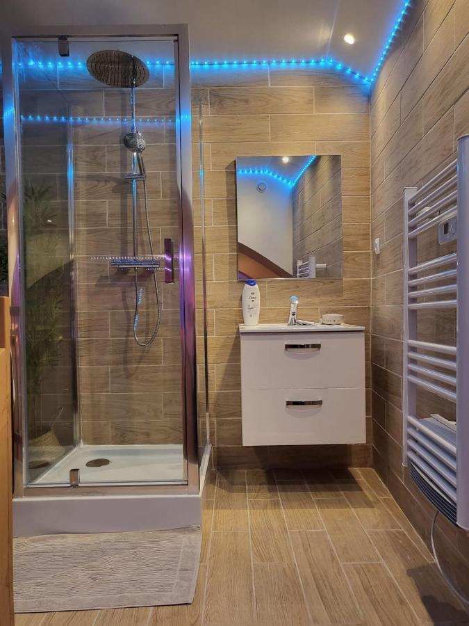 Le Spa De La Cathedrale - Jacuzzi - Sauna - Champagne - Netflix - Wifi Troyes Exterior foto